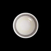 Icoloured® Polar Lights Grey II Colored Contact Lenses